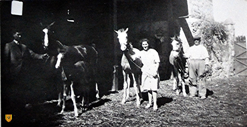 Lavayssiere  Guy Juliette et Auguste Thorrignac 1939.jpg - Ferme Auguste, Paul Thorrignac. Les écuries qui se trouvaient à l'arrière de la maison.De gaucge à droite : Guy, Juliette et Auguste, paul Thorrignac